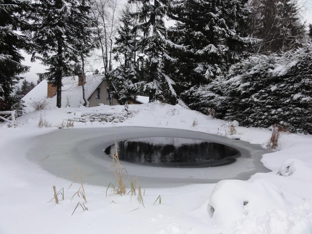 Hotel Pavla Vysocina Nove Mesto na Morave Eksteriør bilde